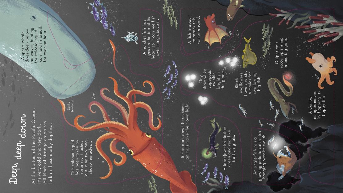 Usborne - Look Inside Seas And Oceans