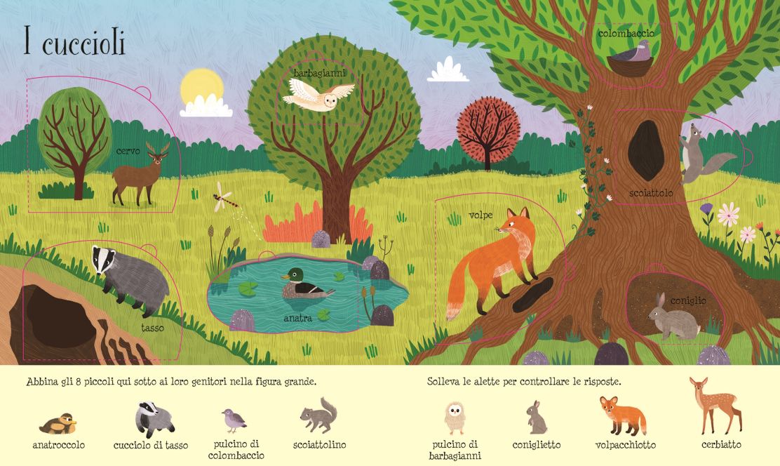 Usborne - Lift the Flap - Nature