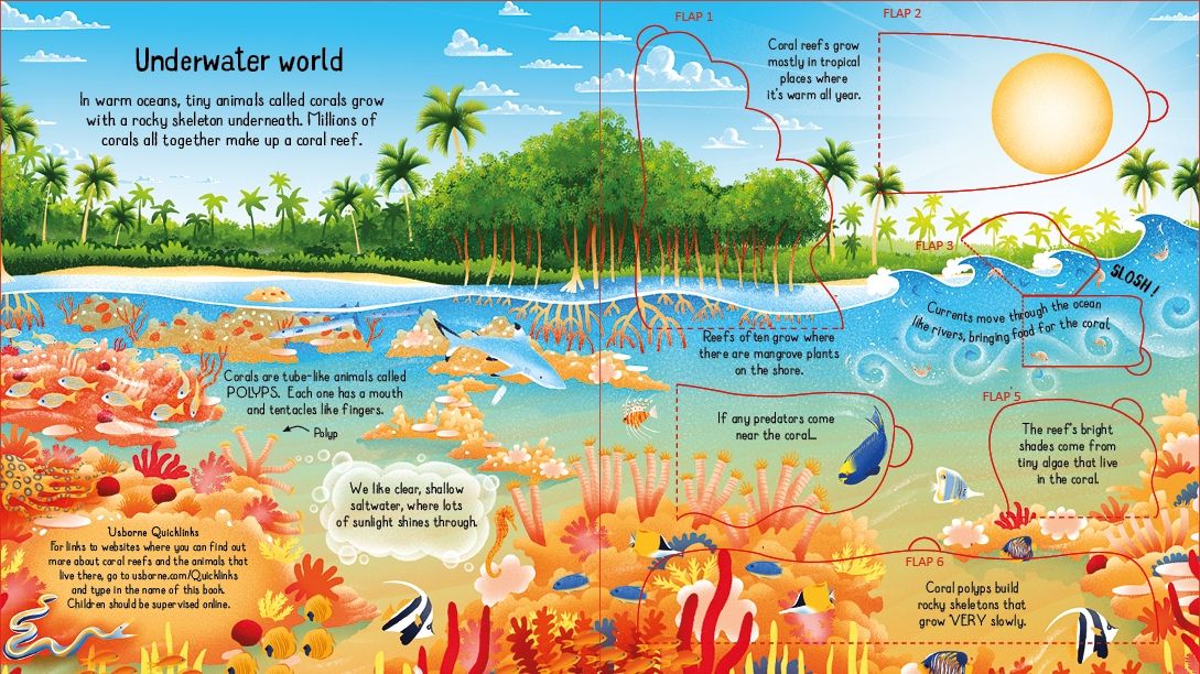 Usborne - Look Inside A Coral Reef