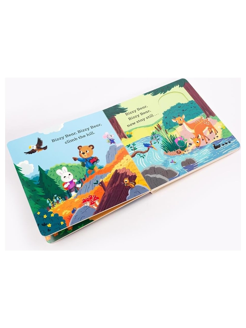 NC - Bizzy Bear: Camping Trip