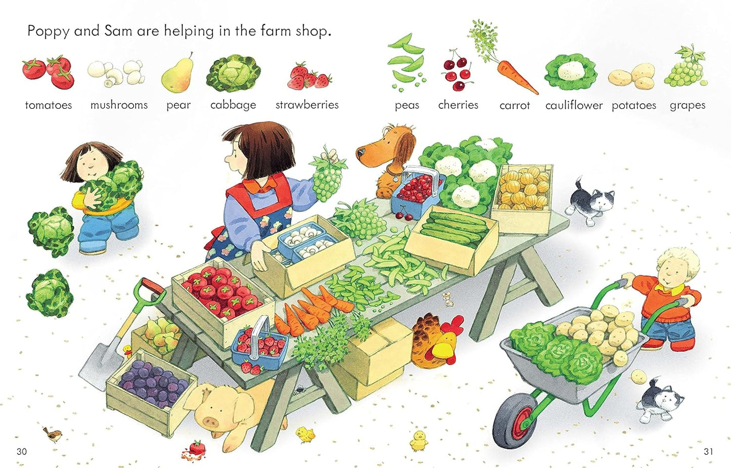 Usborne - Poppy And Sam'S First Word Book