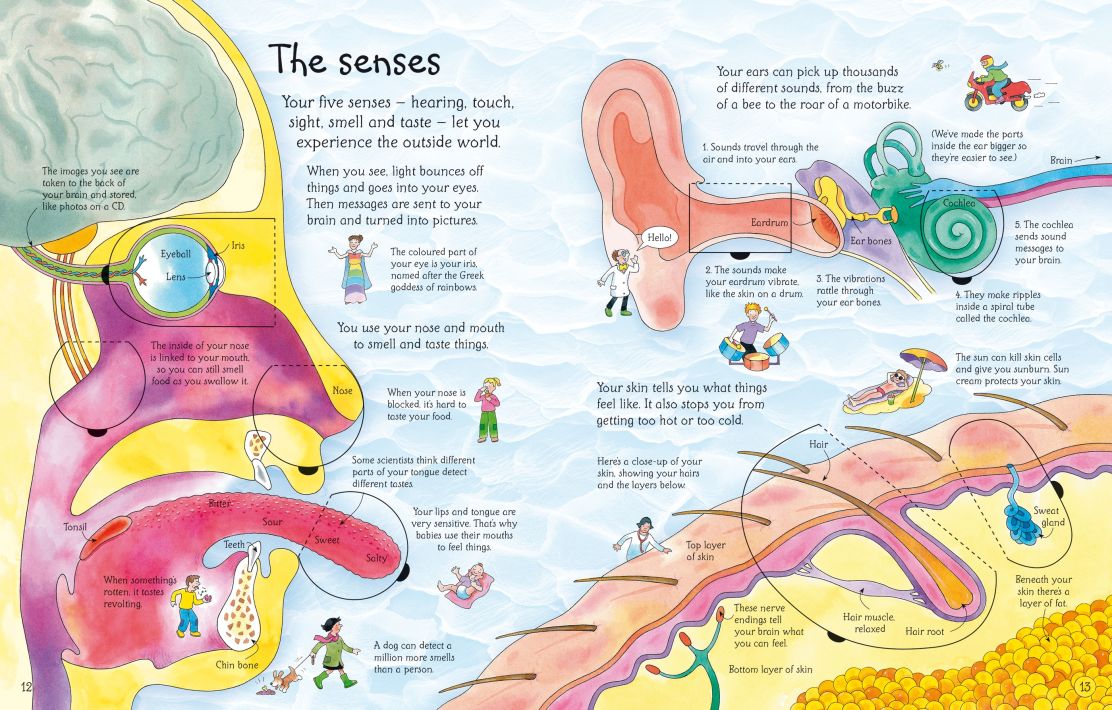 Usborne - See Inside Your Body HB