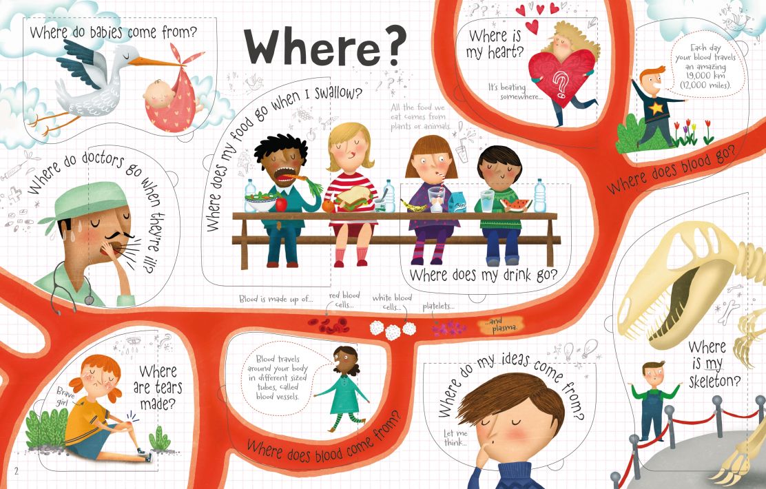 Usborne - Lift the Flap Questions & Answers About Body