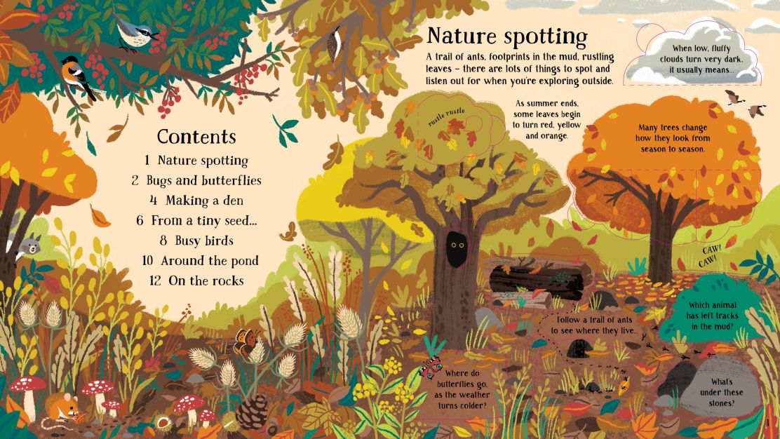 Usborne - Look Inside Nature