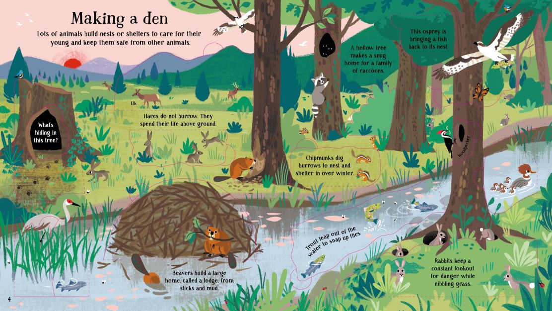 Usborne - Look Inside Nature