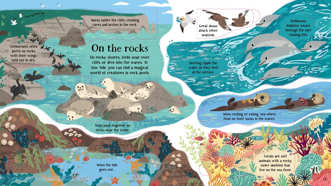 Usborne - Look Inside Nature