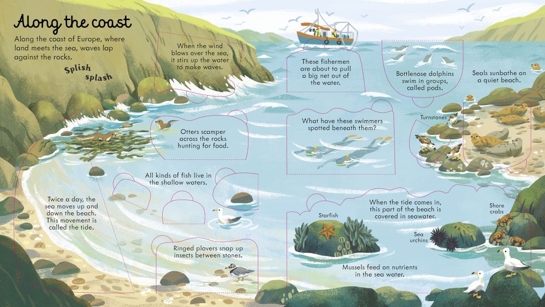 Usborne - Look Inside Seas And Oceans