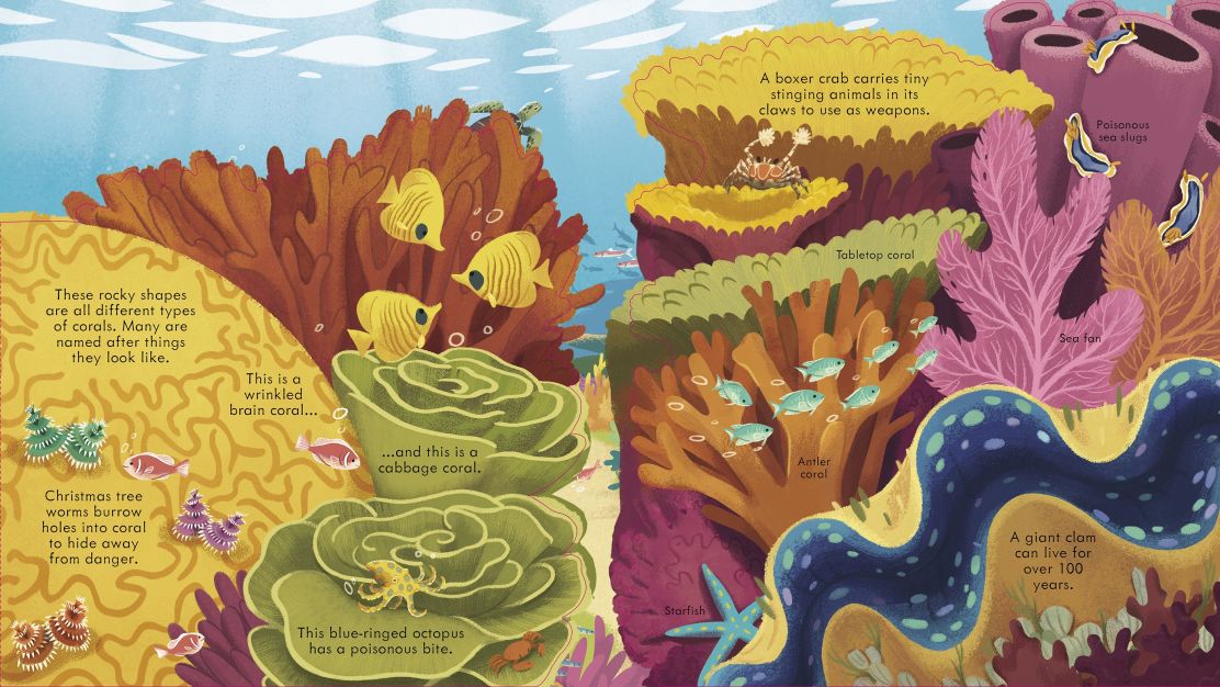 Usborne - Look Inside Seas And Oceans