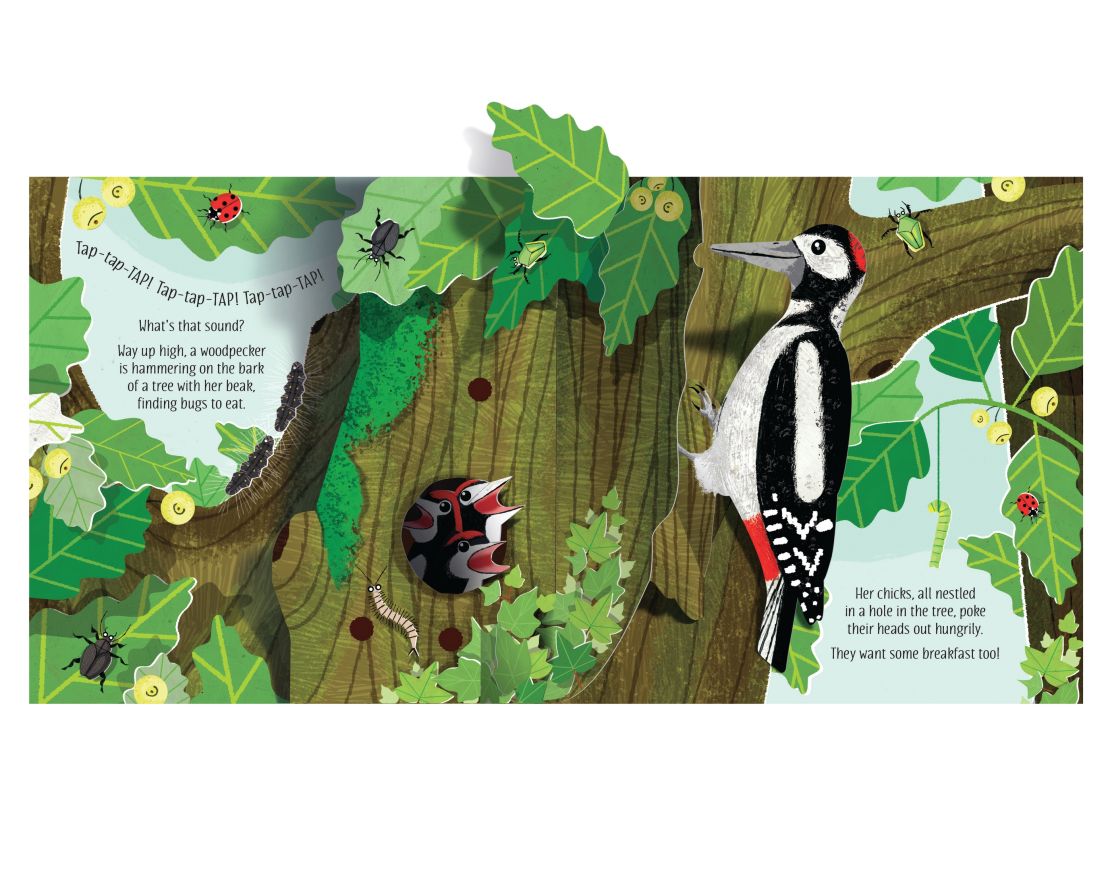 Usborne - Pop-Up Nature