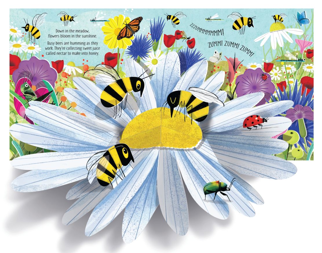 Usborne - Pop-Up Nature