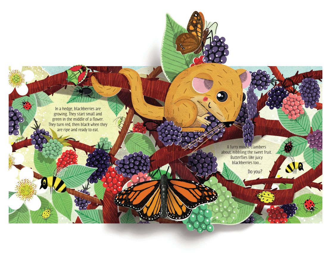 Usborne - Pop-Up Nature