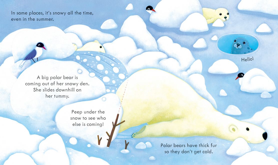 Usborne - Peep Inside Snowy Places