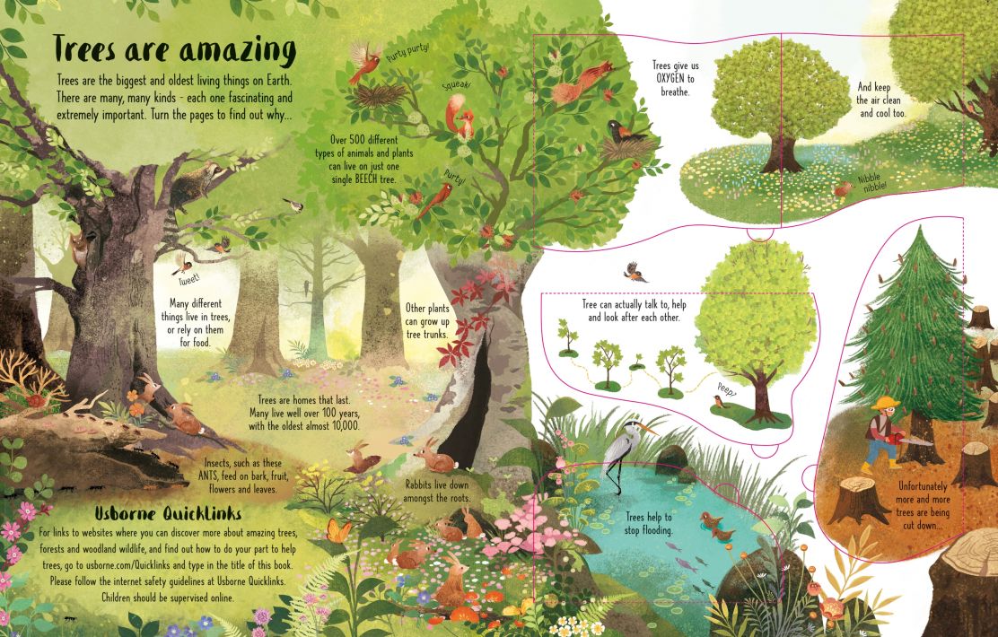 Usborne - Lift the Flap Trees