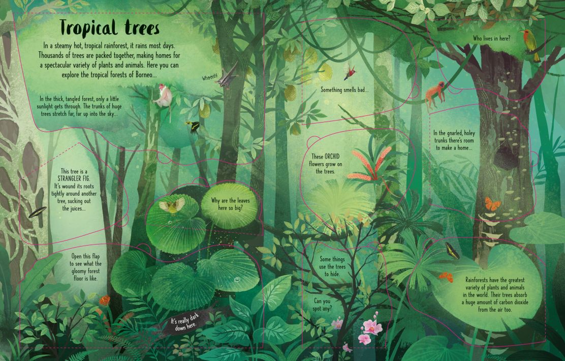 Usborne - Lift the Flap Trees