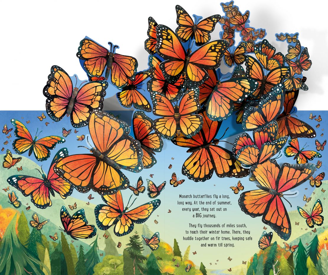 Usborne - Pop-Up Butterflies