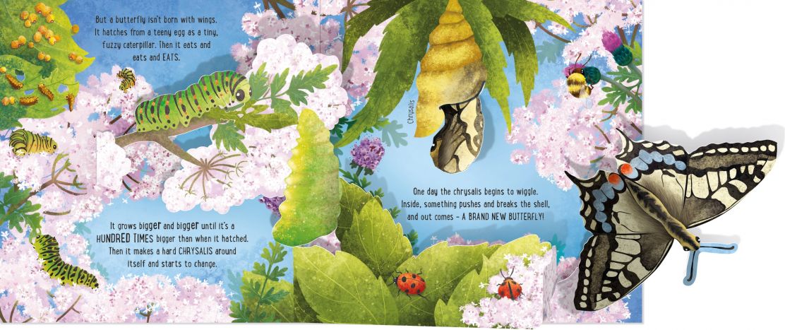 Usborne - Pop-Up Butterflies