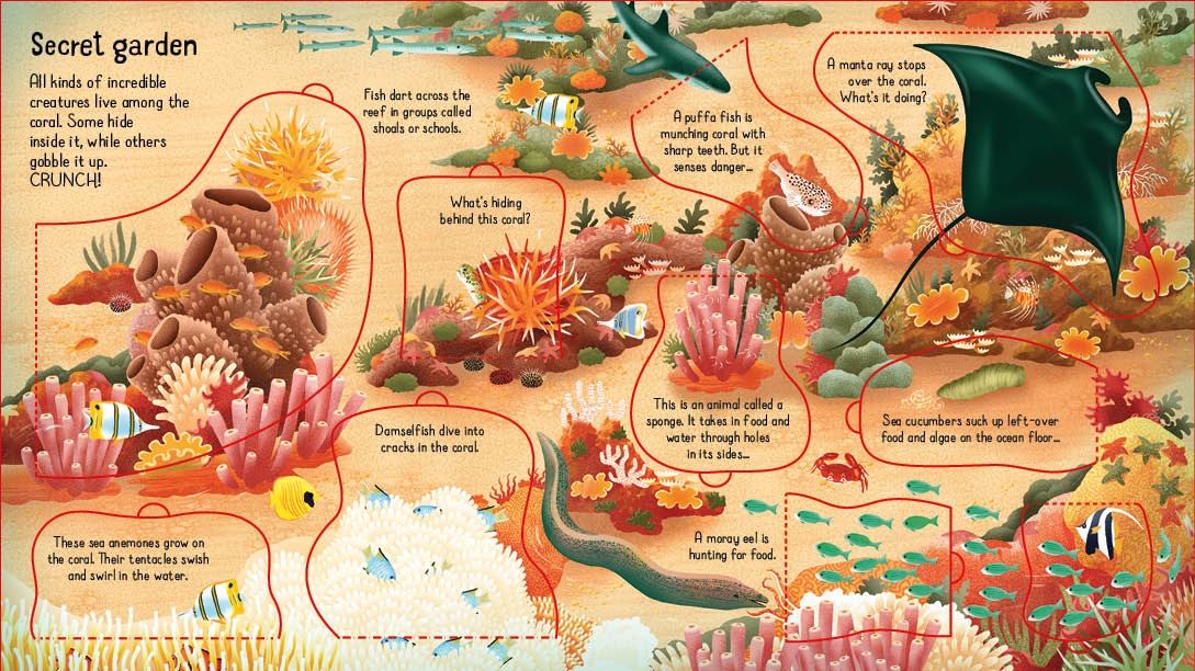 Usborne - Look Inside A Coral Reef