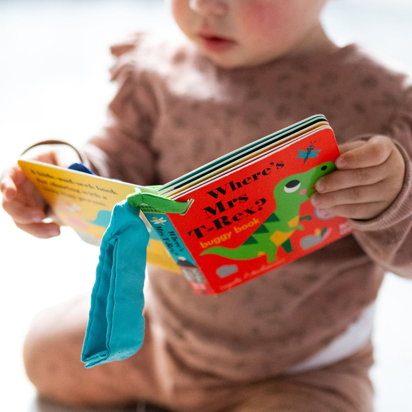 NC - Where's Mrs T-Rex?