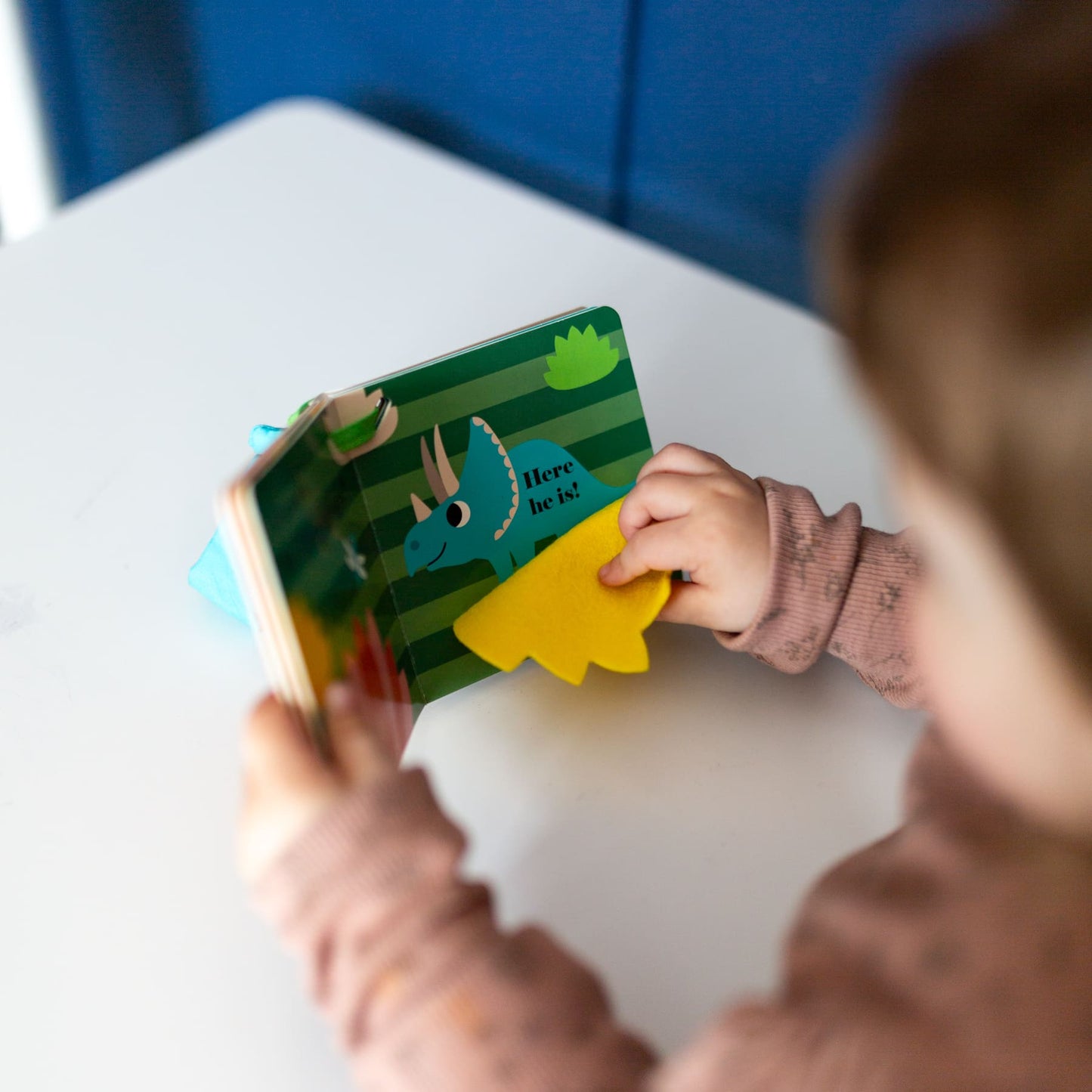 NC - Where's Mrs T-Rex?